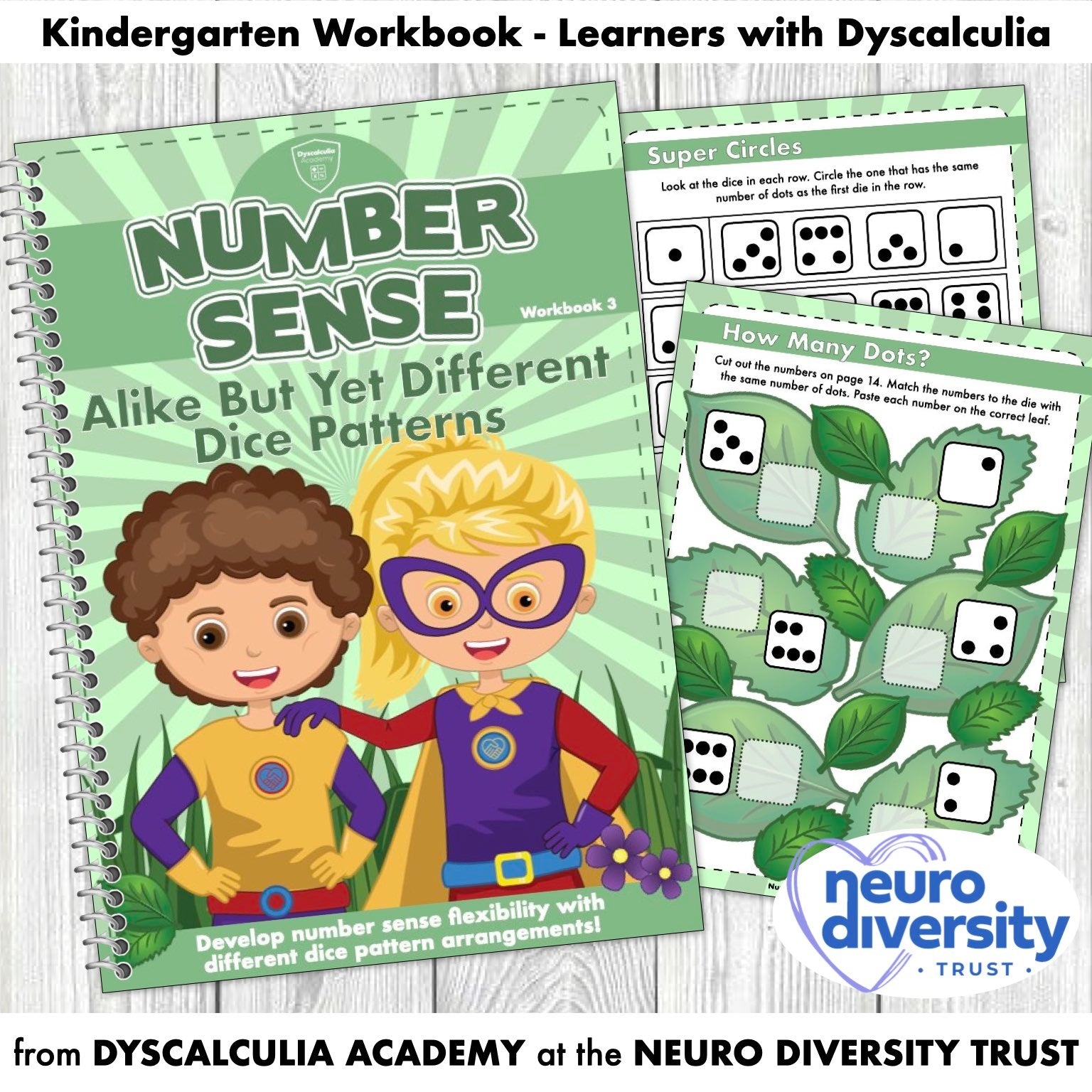 Number Sense Workbook 3- Alike but yet different Dice Patterns