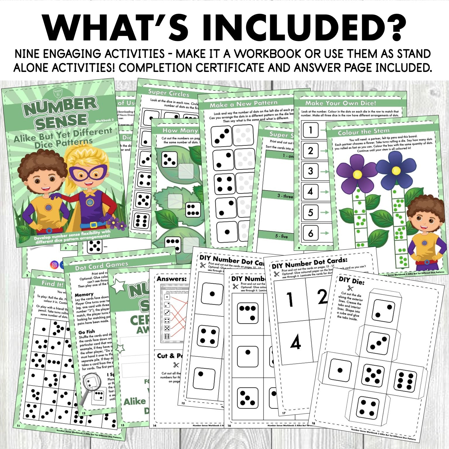 Number Sense Workbook 3- Alike but yet different Dice Patterns