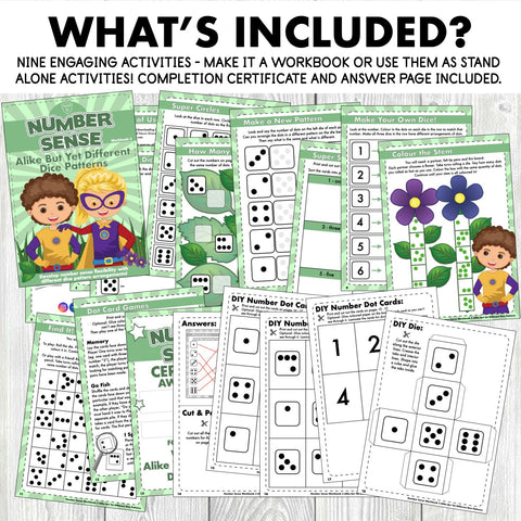 Number Sense Workbook 3- Alike but yet different Dice Patterns